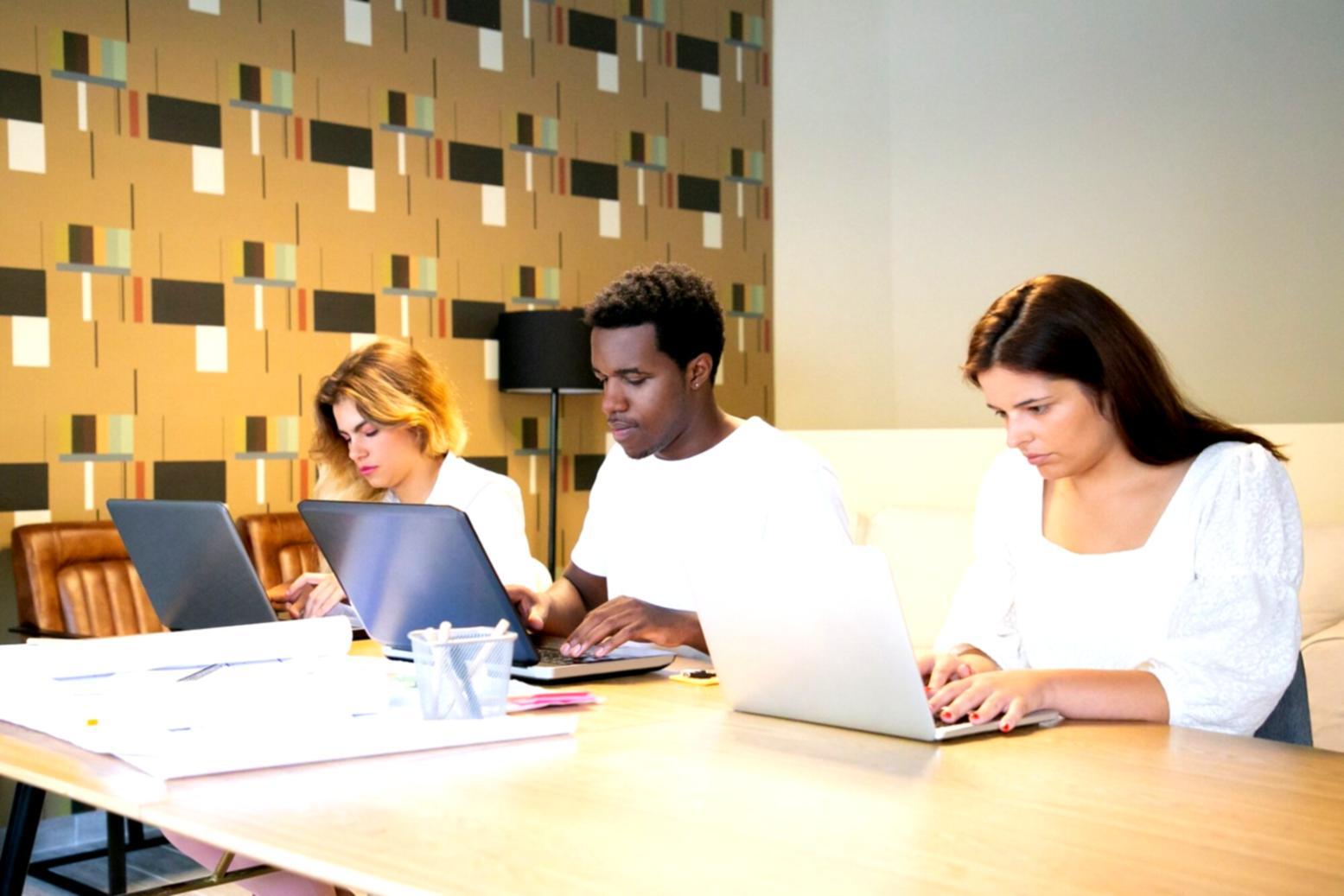 Команда Vexdata Systems в рабочем процессе